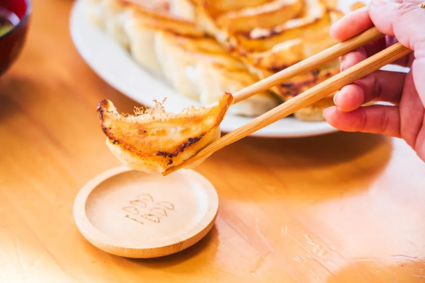 今月号の付録は、餃子山の豆皿とお箸セット（逆さにするとギョウザに見えるよ）です│ランドネ3月号