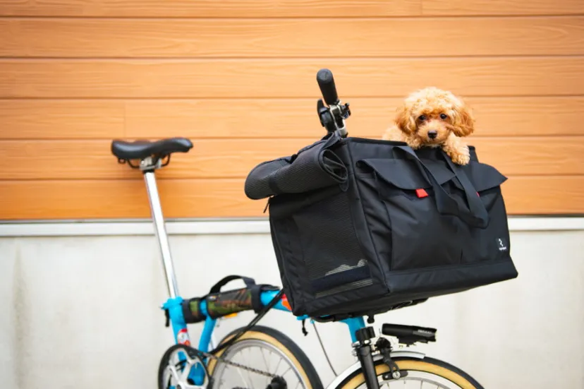 「BROPET CARRY BAG」新登場。愛犬といっしょにサイクリングを楽しもう｜rin project