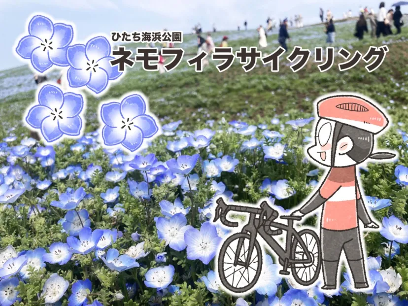 まんが家の、ひたち海浜公園・ネモフィラサイクリング｜夏福ゆるポタエッセイ vol.14
