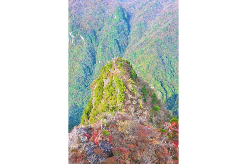 【100楽山／大台ヶ原】色鮮やかな秋の景色を探して。私の好きな秋の山歩き
