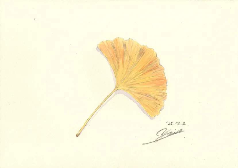 時空を越えるタイムマシンのように、いまと昔の自分を繋ぐ大銀杏｜筆とまなざし＃444