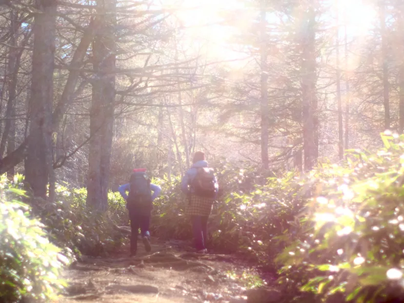晩秋の入笠山は撮りたいものに溢れている。霜が降りる輝く湿原へ