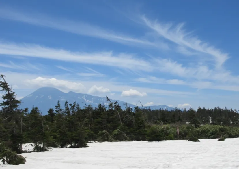 静謐の森と湖沼をめぐるスノーハイク。八幡平と藤七温泉の「白濁の湯」｜山本晃市の温泉をめぐる日帰り山行記 Vol.17