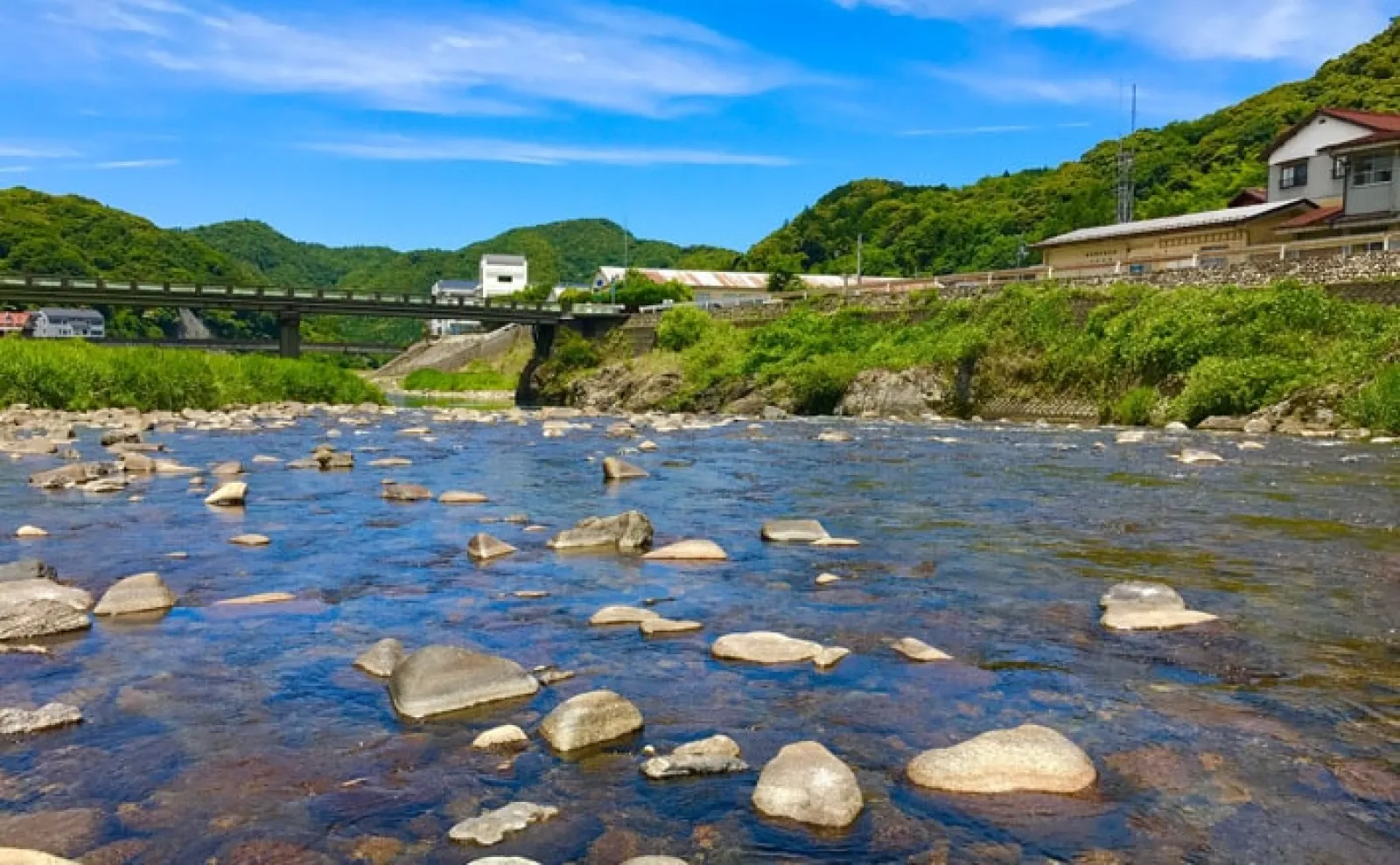 鮎（アユ）友釣りオススメ河川ガイド2024：長良川・郡上【岐阜】ポイントは無数にあり | アウトドア |  カーライフ・カー用品サイトMOBILA（モビラ）