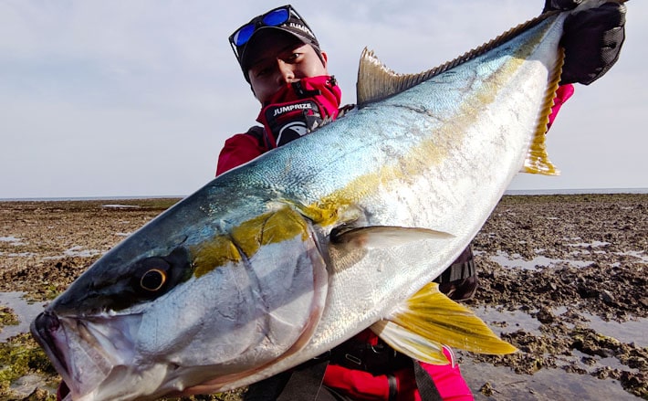 磯での青物狙いルアー釣行でヒラマサ手中【福岡】50cm級カンパチ