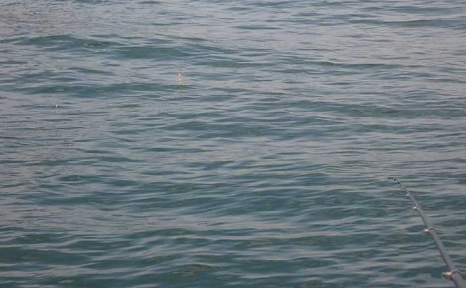 フカセ釣りでの【失敗エピソード4選】 梅雨シーズンは「カビ」に一層のご注意を, アウトドア