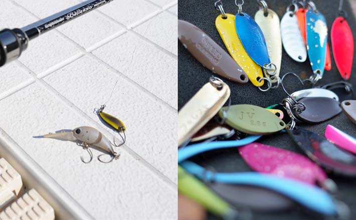 ルアーとフライの二刀流で管理釣り場のニジマス104匹手中【長野・平谷