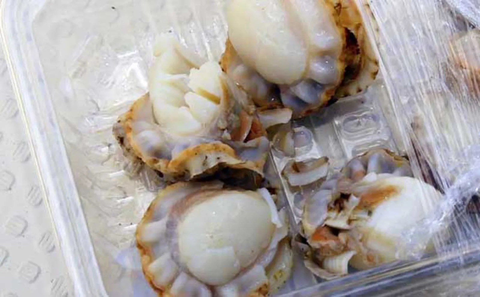 ハゼ釣り攻略ガイド 【釣り方・仕掛け・時期・時間・エサ】を徹底解説