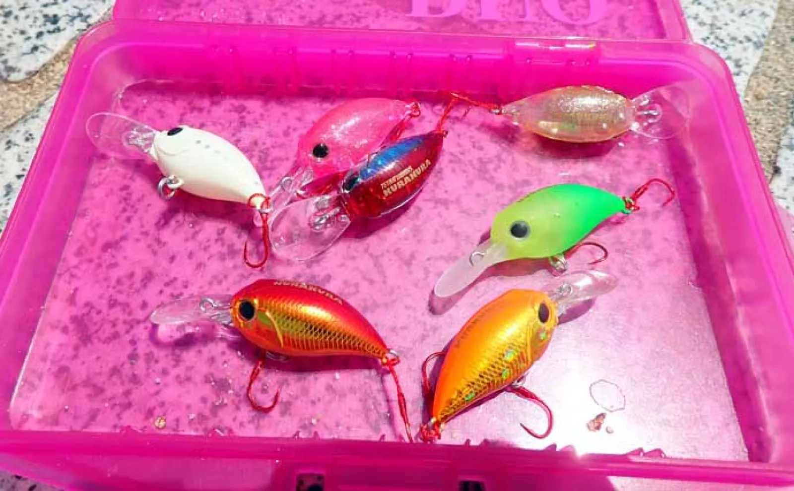 ハゼ釣り攻略ガイド 【釣り方・仕掛け・時期・時間・エサ】を徹底解説