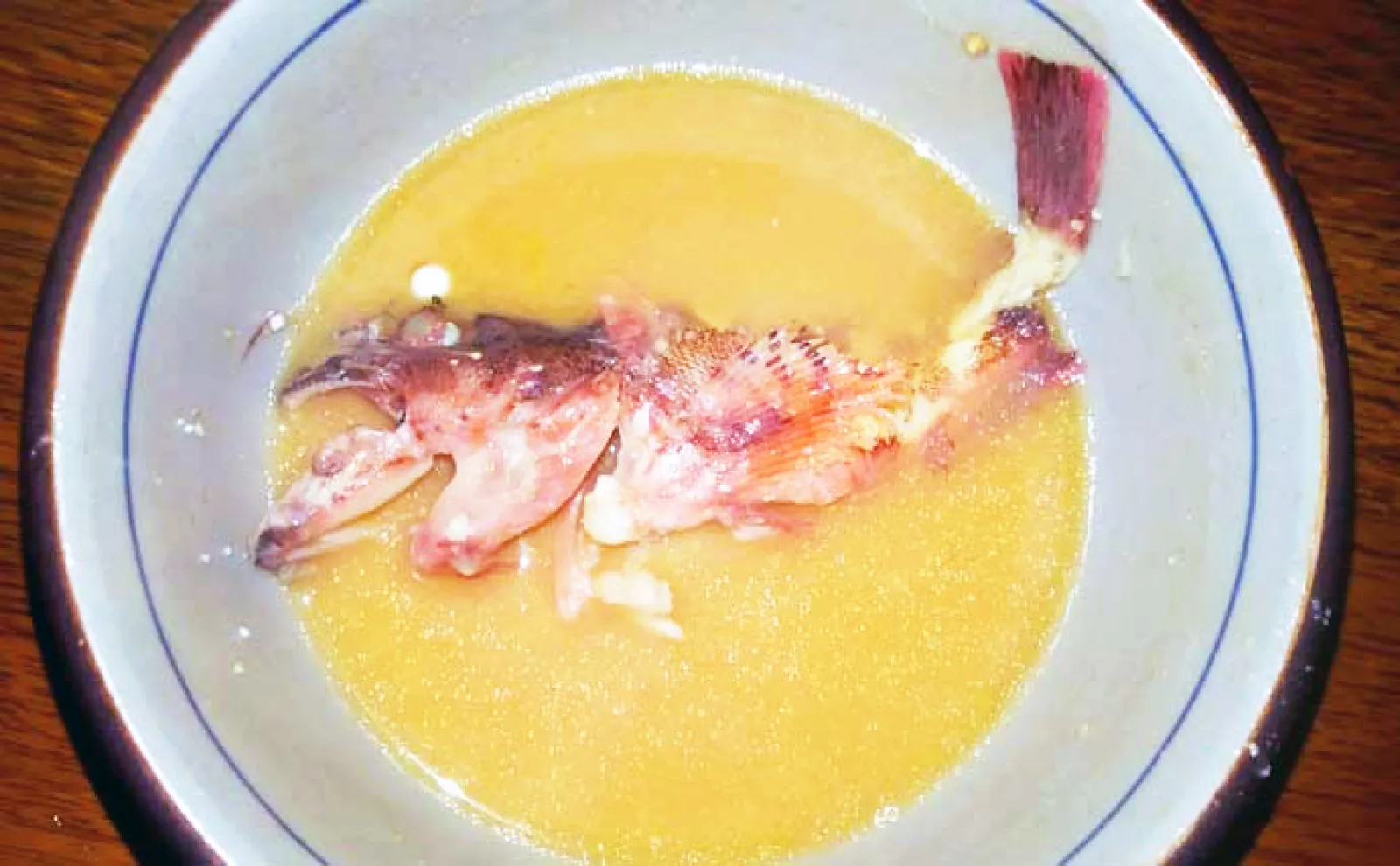 釣り人的『カサゴ』のすべらない料理7選 煮・焼・生で死角なし?