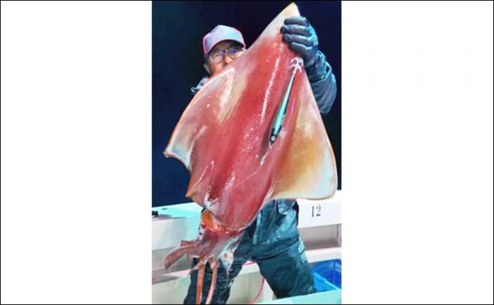 【福井・石川】船釣り最新釣果 ジギング&タイラバで巨大クロソイ浮上