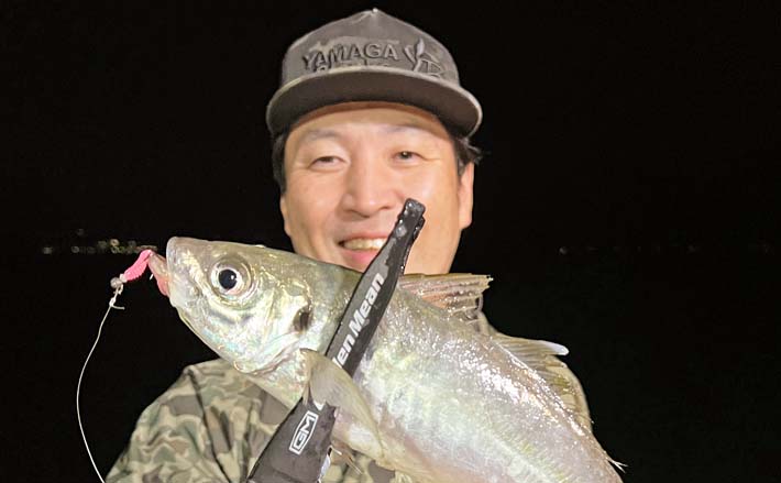 バチコンアジング釣行で34cm頭にアジ連打【佐賀・唐津】　速巻きからのステイがパターン