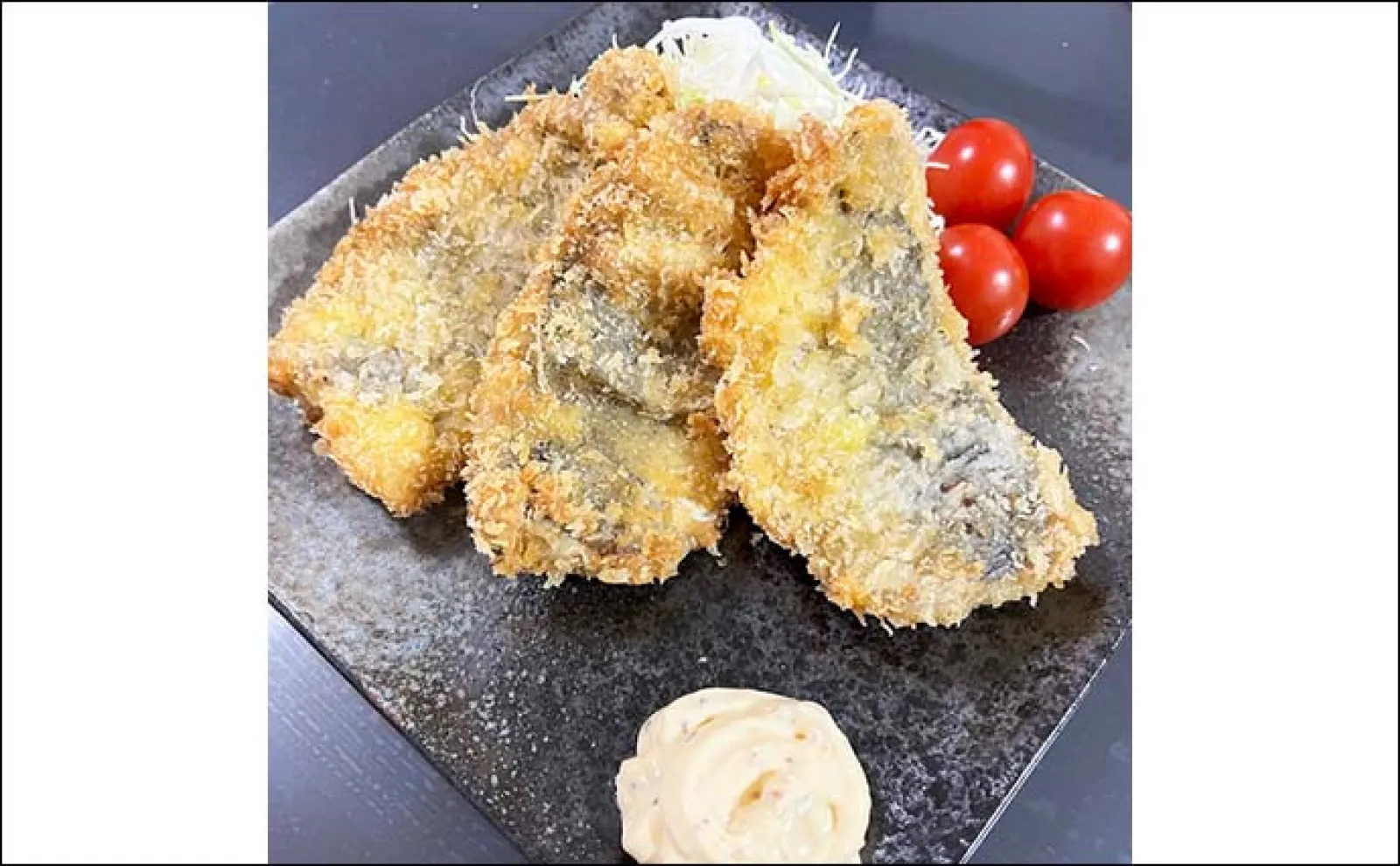 バチコンアジング釣行で34cm頭にアジ連打【佐賀・唐津】 速巻きからのステイがパターン