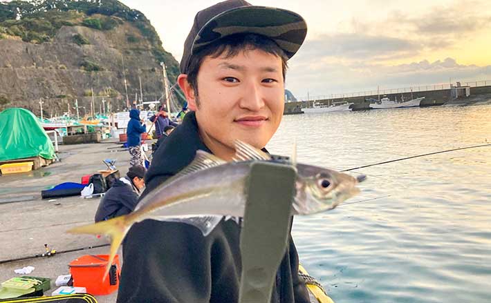 堤防での親子アジング釣行で本命43尾【千葉・勝浦漁港】　キャロライナリグが的中？