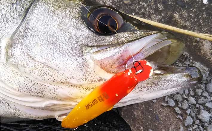 釣り具一式 リール 竿 ルアー タモ その他 中古 まとめて