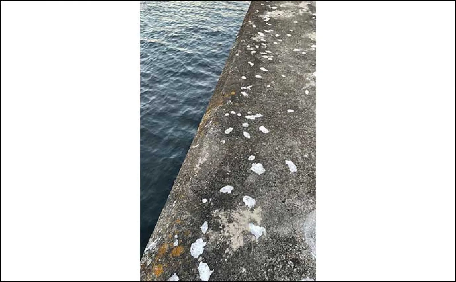 真冬の低活性アジの居場所の見つけ方3選 アジングで釣る方法も紹介