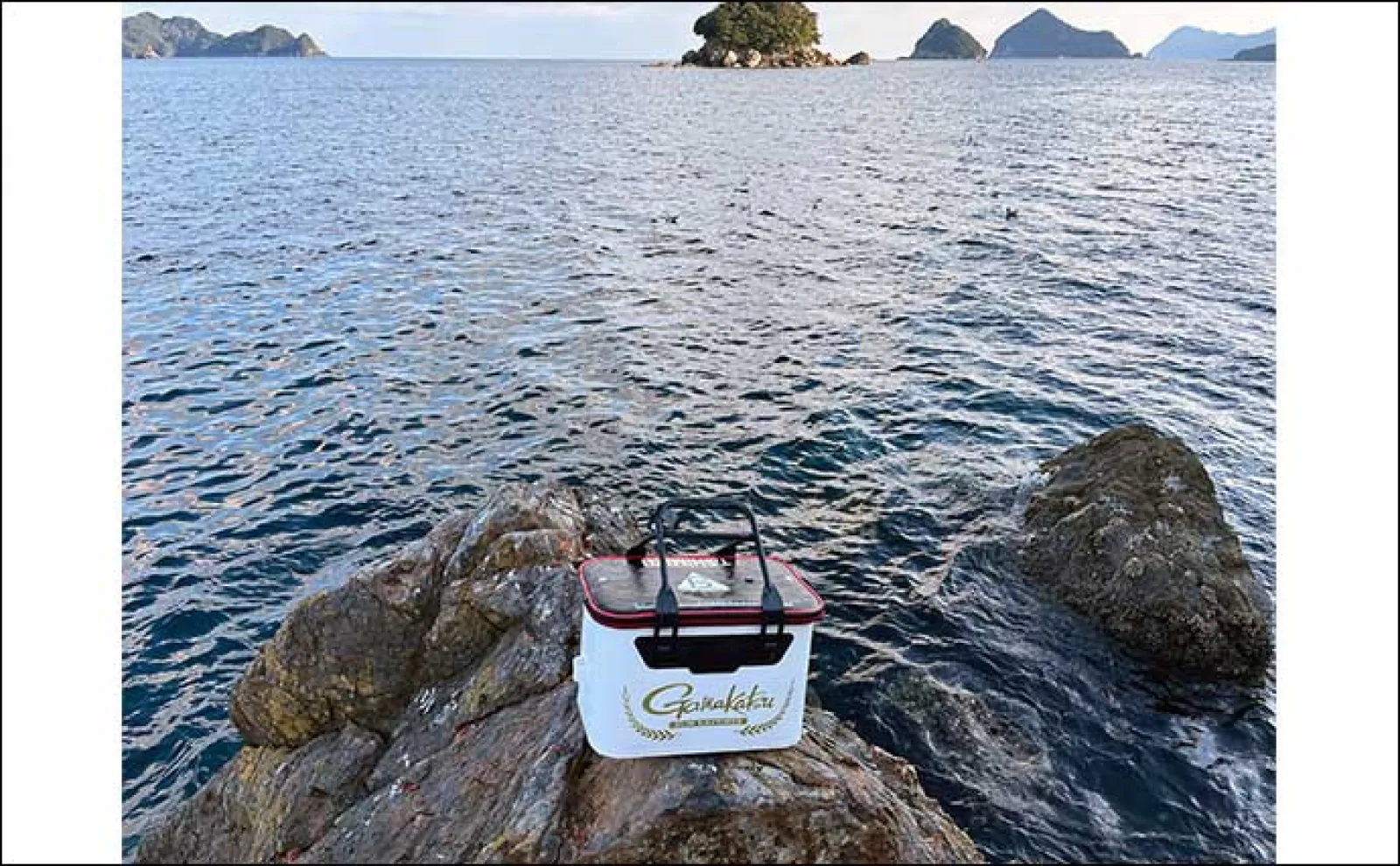 磯フカセ釣りで40cm頭に良型の口太グレ連打【三重・尾鷲】 ワラサも登場