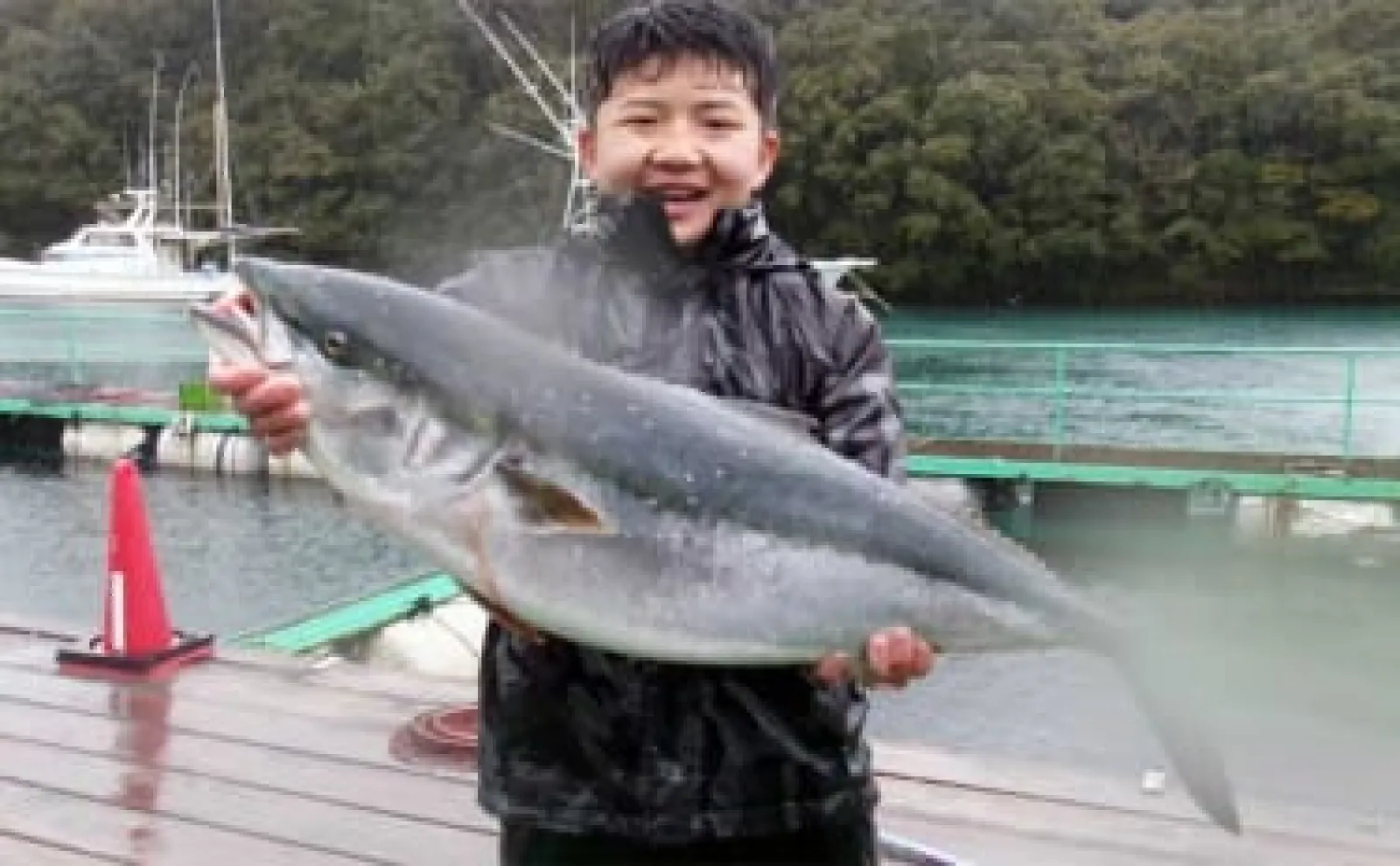 腹パンの良型ブリをキャッチ【愛知・三重】 海上釣り堀最新釣果情報