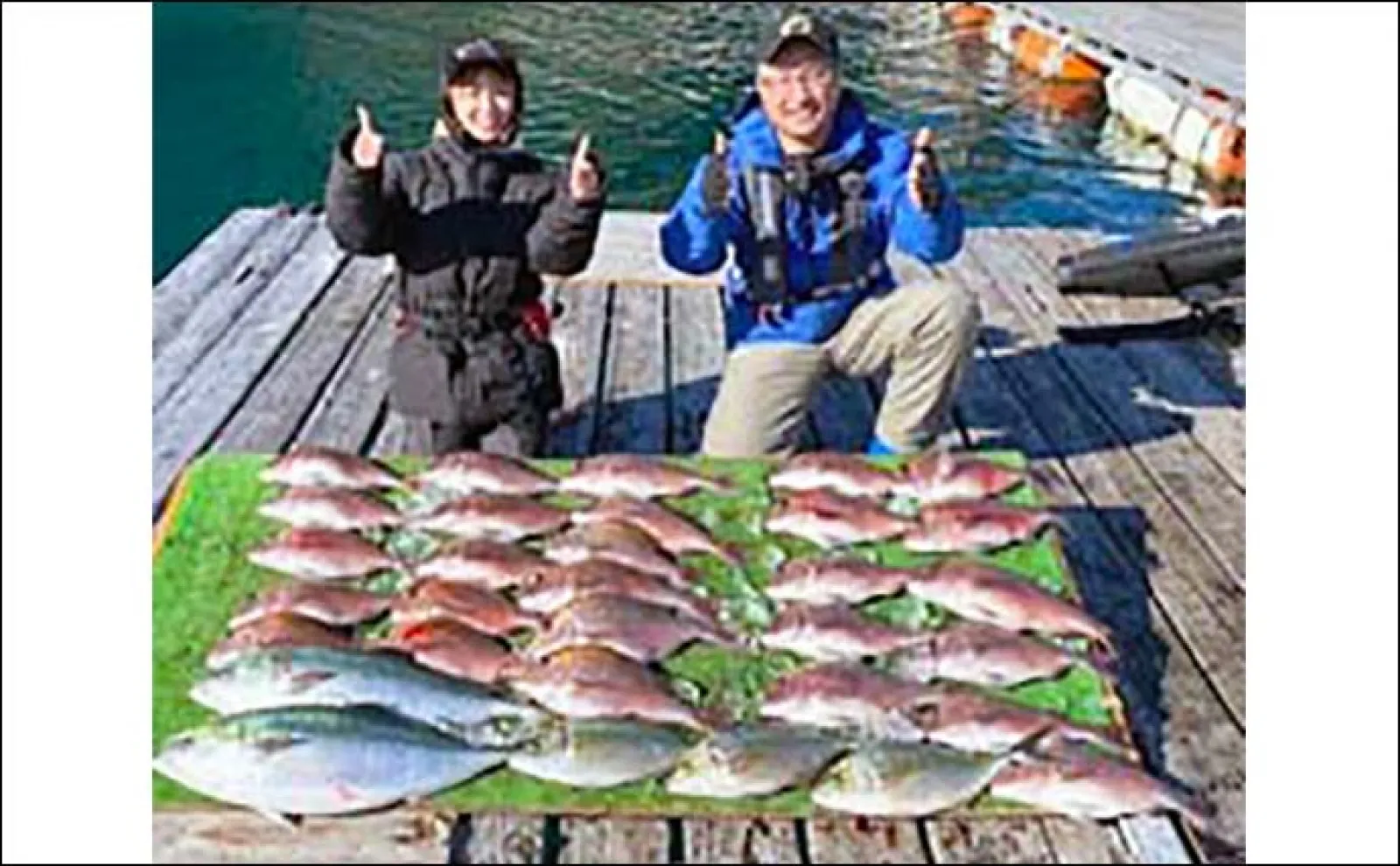 腹パンの良型ブリをキャッチ【愛知・三重】 海上釣り堀最新釣果情報