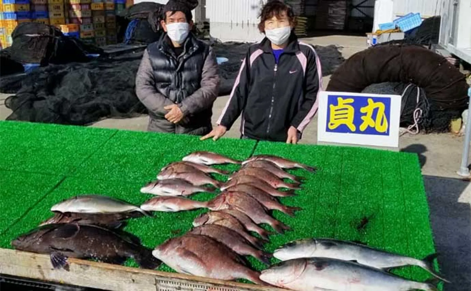 腹パンの良型ブリをキャッチ【愛知・三重】 海上釣り堀最新釣果情報