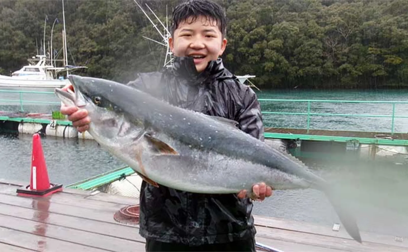 腹パンの良型ブリをキャッチ【愛知・三重】 海上釣り堀最新釣果情報