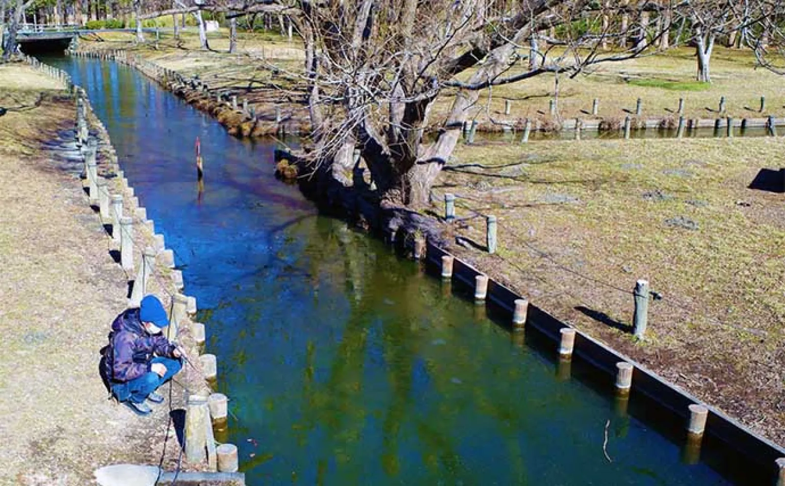 都心の公園で淡水小物釣りを堪能【都立水元公園】 タナゴにクチボソと対面