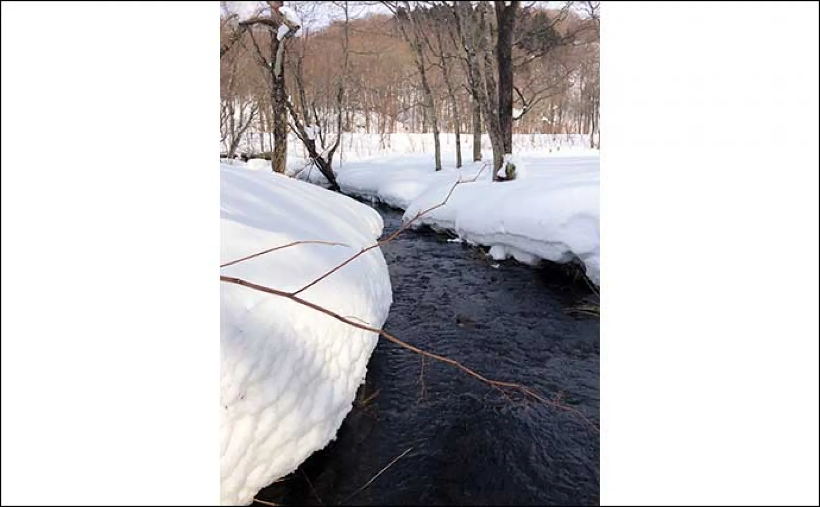 本格的な冬真っ最中の北海道での渓流ルアー釣りで35cmブラウントラウト手中【尻別川】