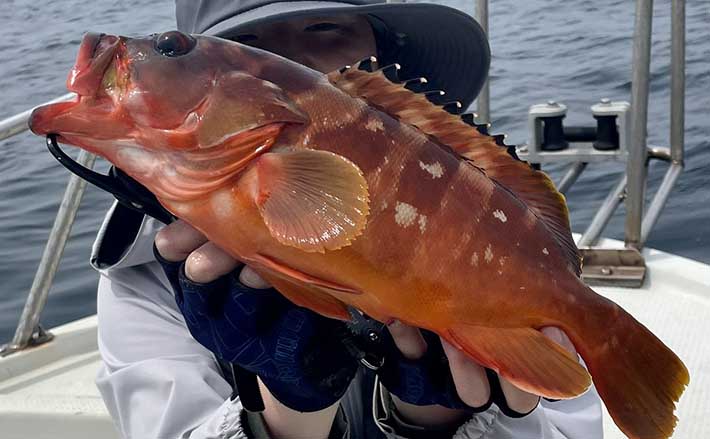 年間200日以上釣りをするアングラーが伝えたい【仲間へのありがとう】
