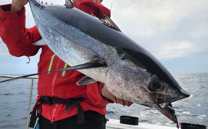 トンジギ（トンボジギング）釣行で10kg弱ビンチョウマグロ2匹手中【和歌山】