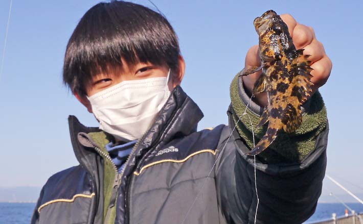投げ釣行で根魚に小型カレイと対面【愛知】　海底一面ヒトデ絨毯？