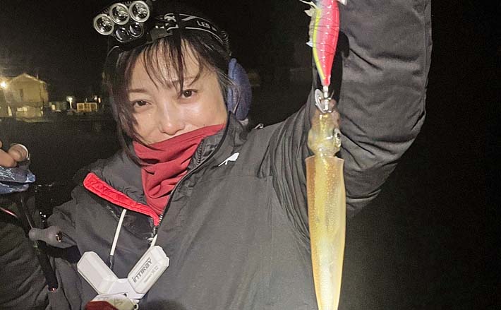夜波止でのヤリイカエギング釣行で本命4匹【福井・城ケ谷漁港】小型が中心