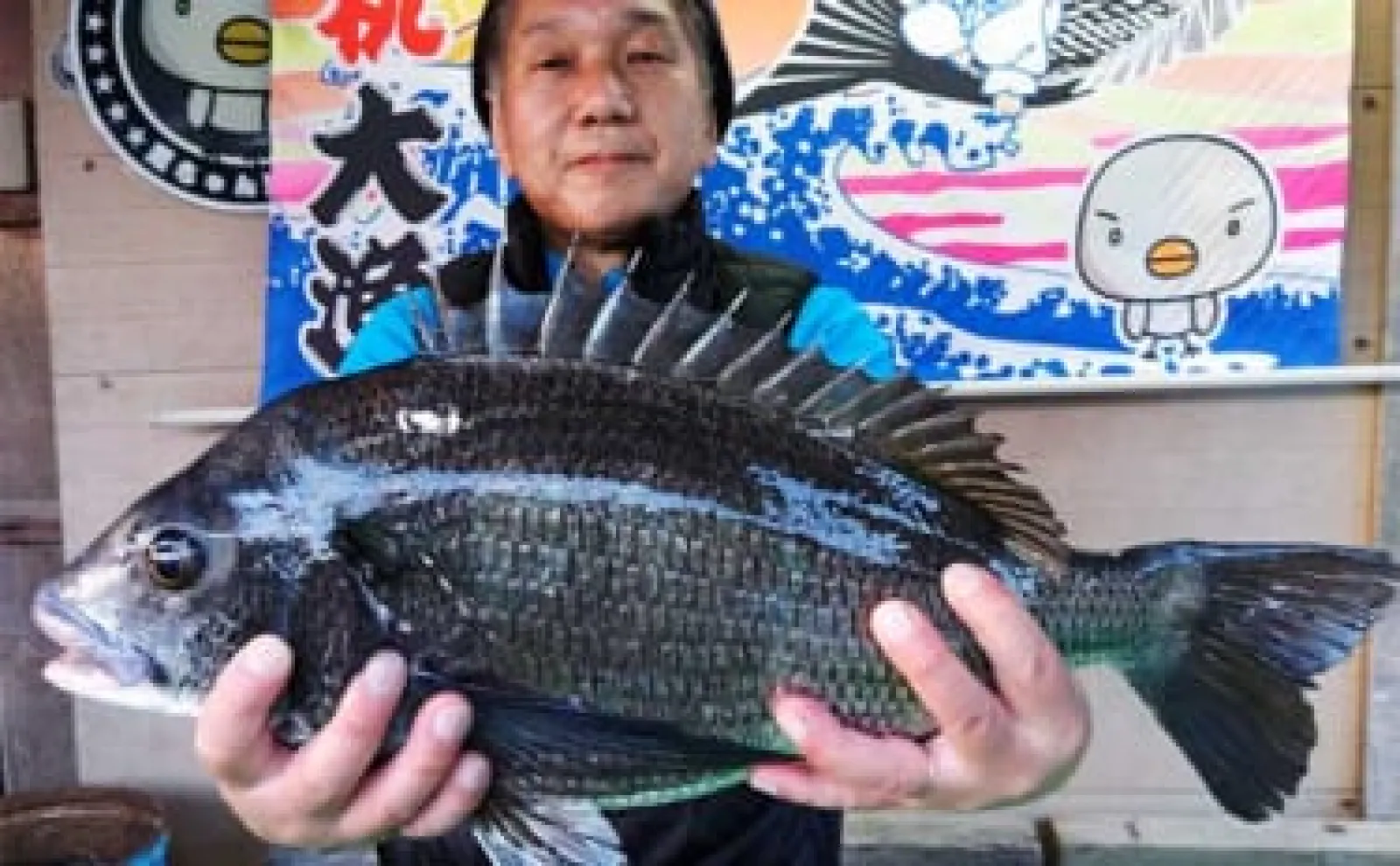 ダンゴ釣りで52.5cm「年無し」クロダイ登場【愛知・三重】 筏＆海上釣り堀最新釣果