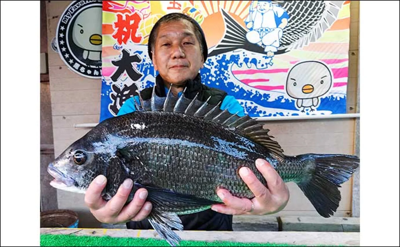 ダンゴ釣りで52.5cm「年無し」クロダイ登場【愛知・三重】 筏&海上釣り堀最新釣果