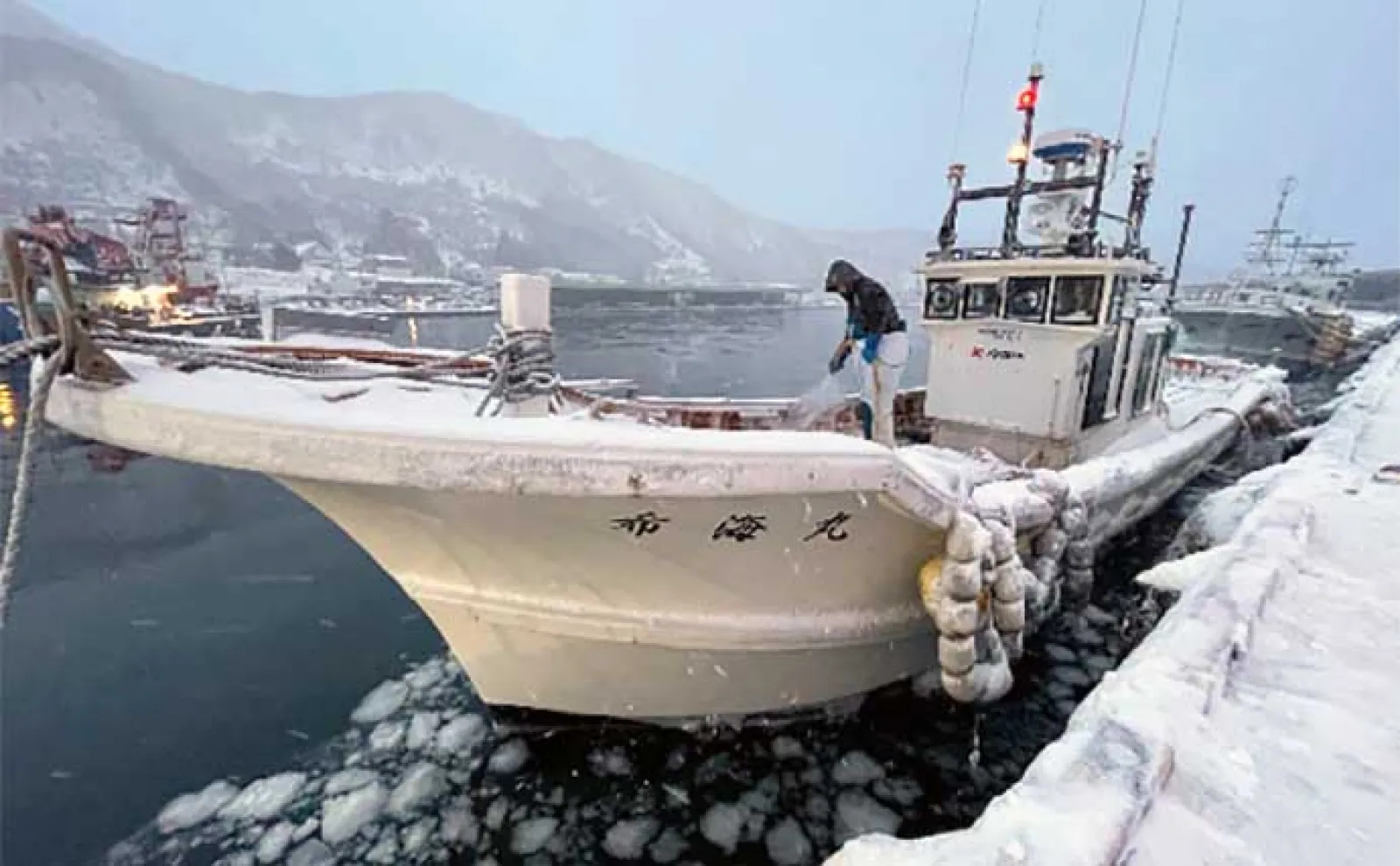「体感気温-25度」の知床羅臼オフショアジギング釣行でサクラマス2ケタ釣果