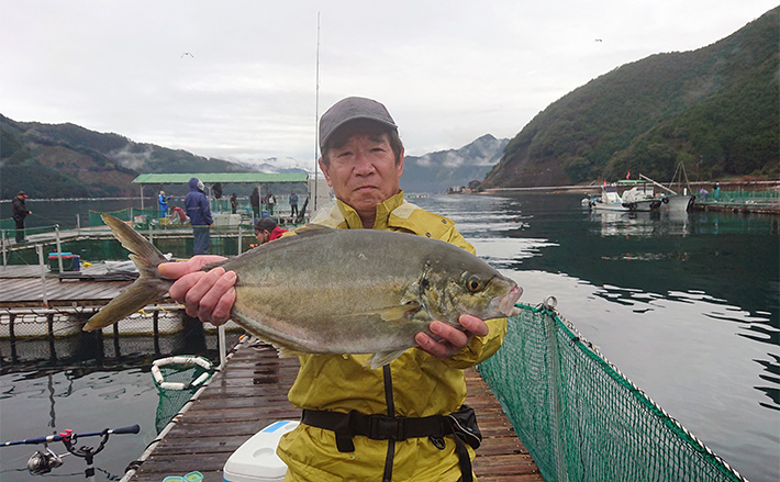 海上釣り堀でジャンボシマアジにマハタと高級美味魚手中【三重・貞丸】