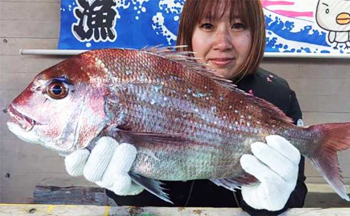カカリ釣りで53cmマダイ手中【三重】イカダ＆海上釣り堀最新釣果