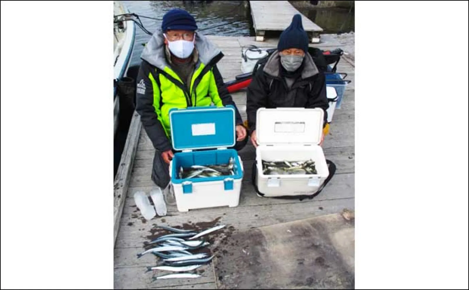 カカリ釣りで53cmマダイ手中【三重】イカダ&海上釣り堀最新釣果