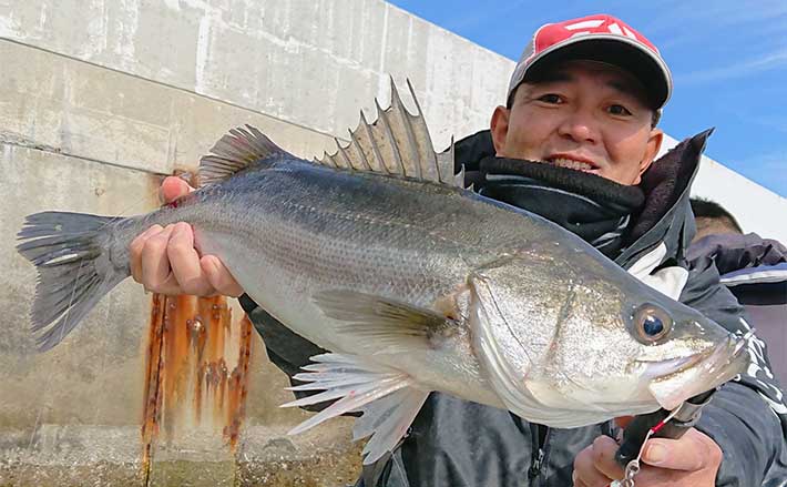 東京湾ジギングシーバス釣行で60cmオーバーがフィーバー【林遊船】