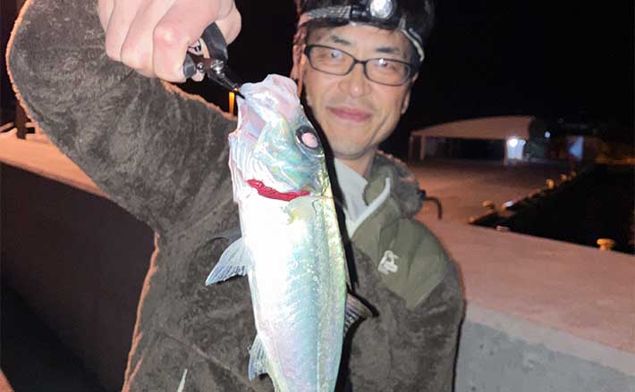 世界自然遺産『小笠原諸島』でアジング釣行　30cm級がアベレージで連発
