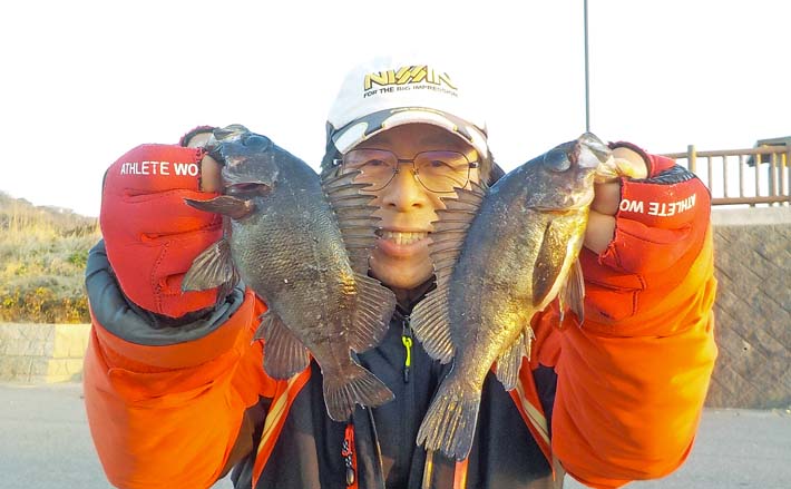 堤防エサメバル釣りでカサゴ混じりで本命8匹キャッチに満足【愛知・豊浜新堤】