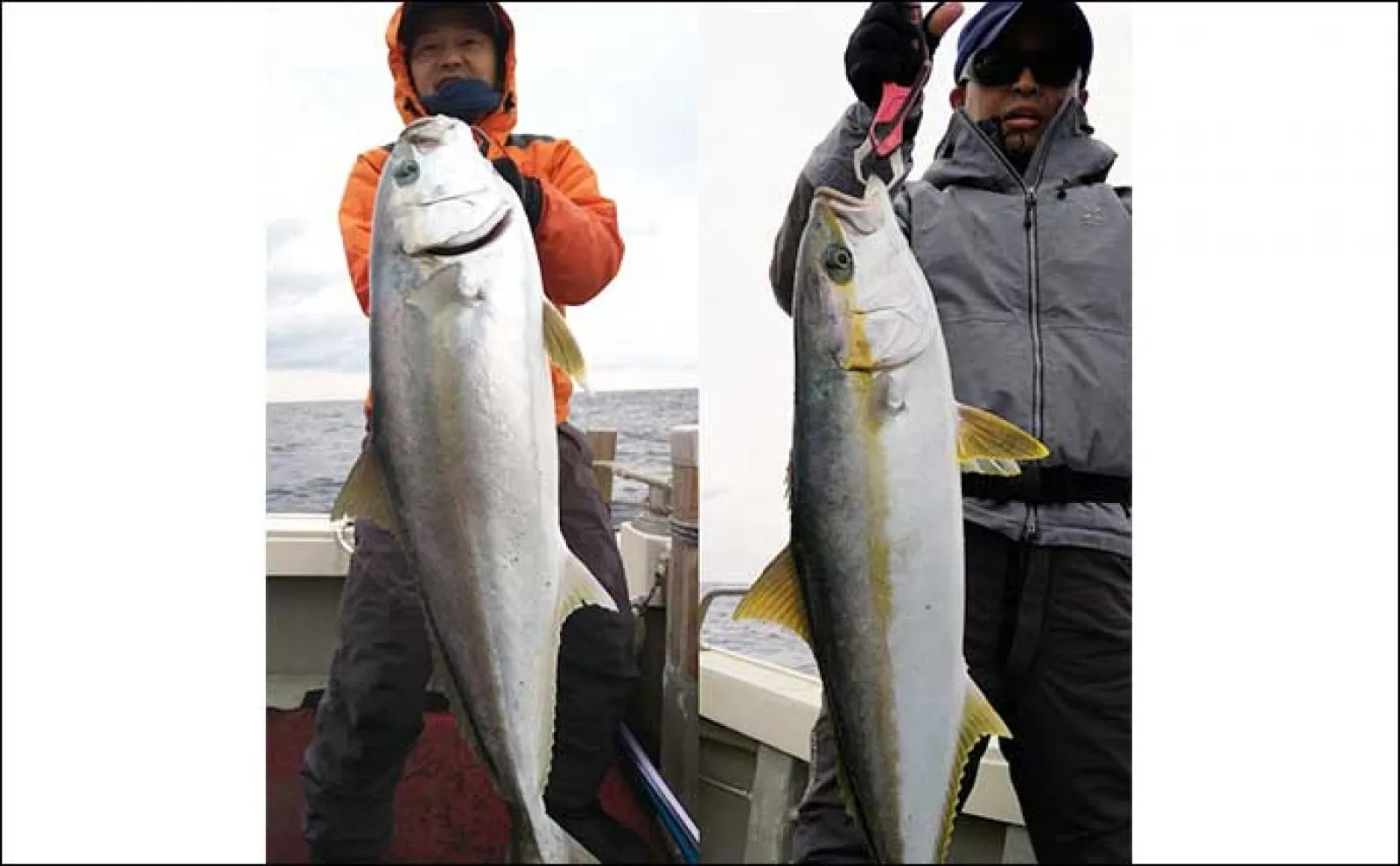 タイラバで良型マダイにジギングでヒラマサ【福岡】船のルアー釣り最新釣果