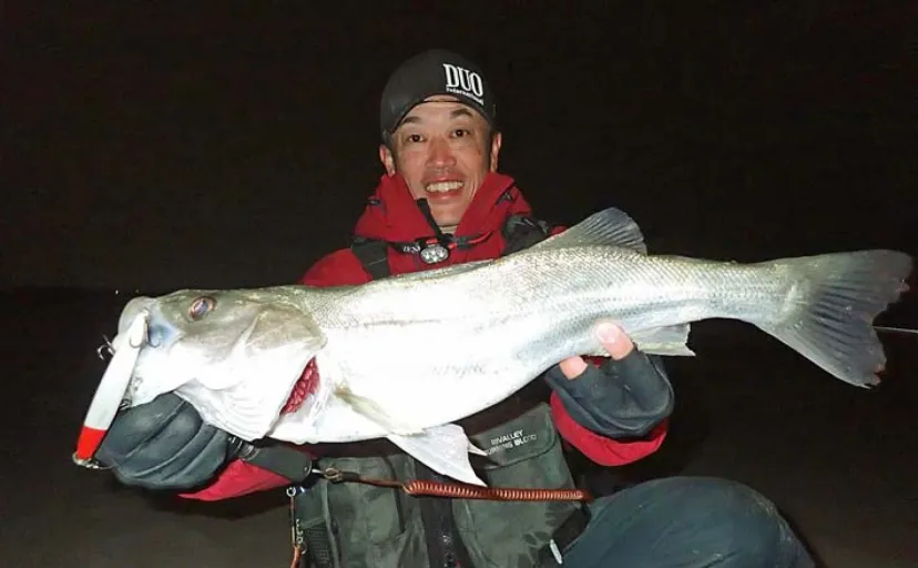 遠州灘サーフルアー釣行で60cm超シーバス【静岡・福田海岸】夜明け前にヒット