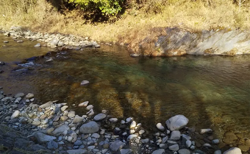 【三重県・波瀬川】おすすめ渓流釣りポイント紹介　放流物の実績高い