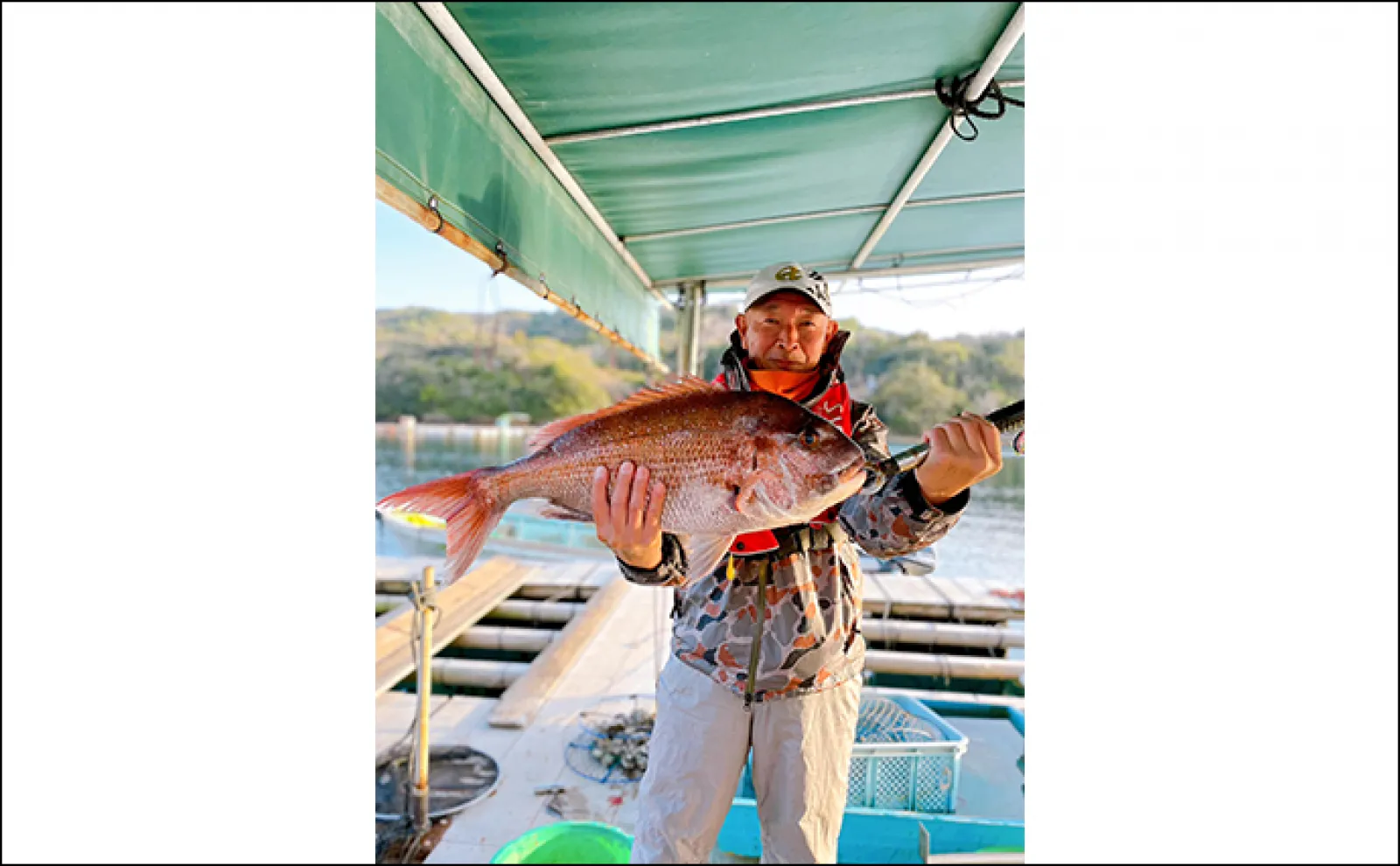 カキチヌ釣りで本命の他70cm級マダイ【三重】イカダ＆海上釣り堀の最新