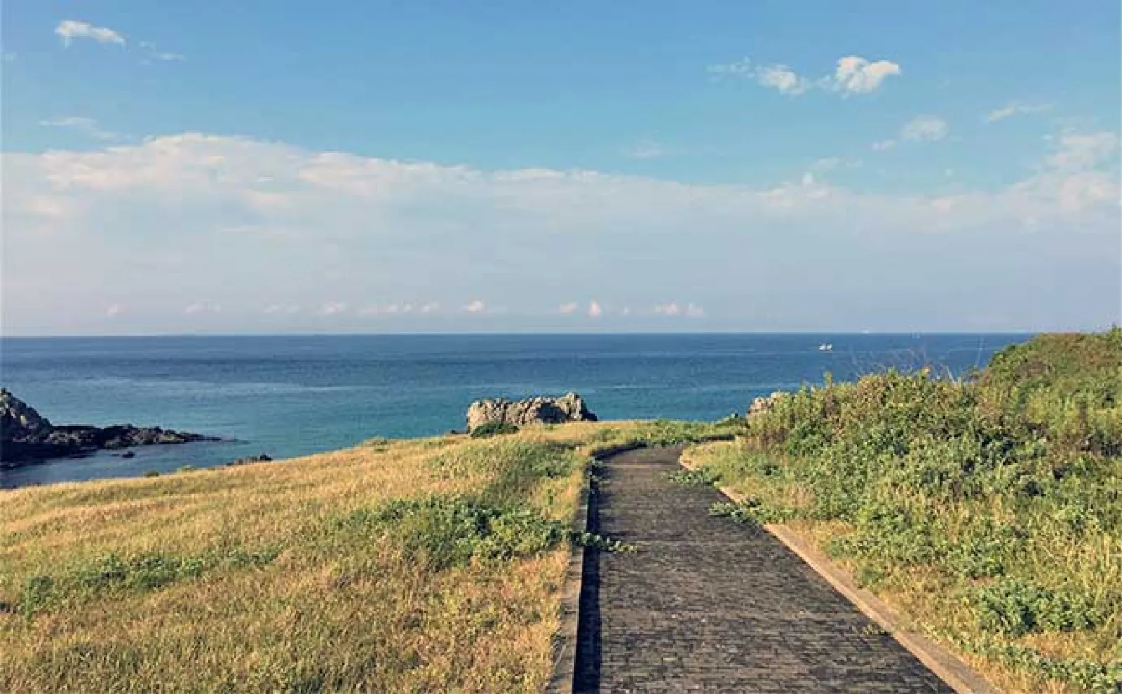 壱岐島は【異次元の釣りの楽園】　漁港で50cmアジに磯で1m超ヒラマサ狙える