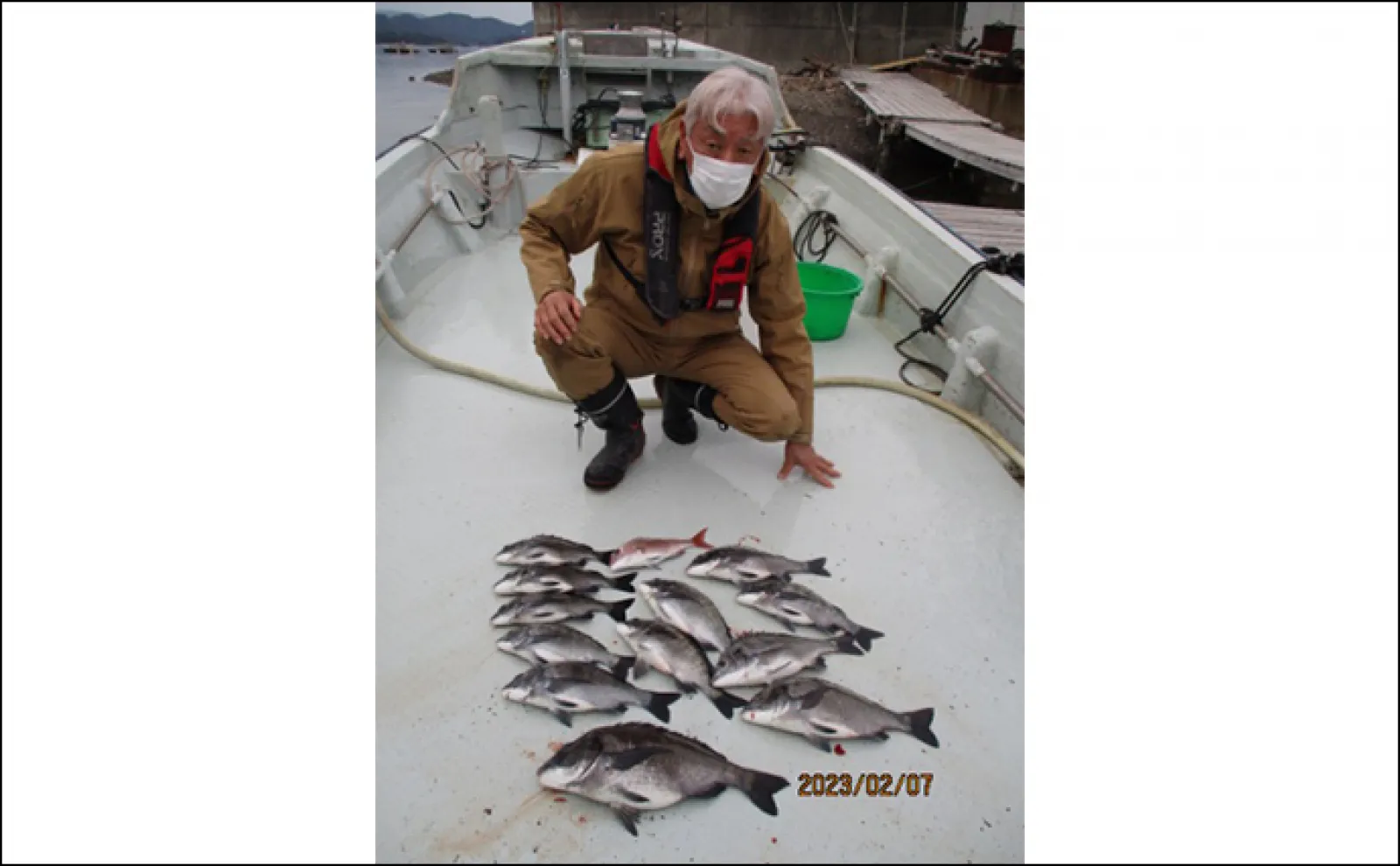 海釣り施設で子供と一緒に高級魚ゲット【三重】筏&海上釣り堀最新釣果