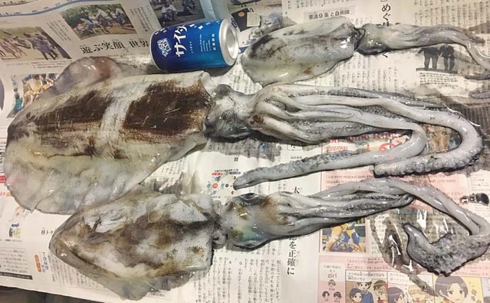 ロッドの『腰抜け』症状を考察 「ヘタり」なのか「馴染み」なのかは使い手次第?
