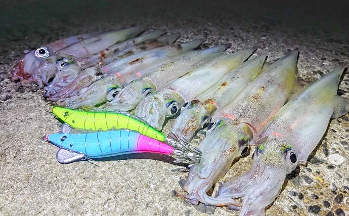 イカキング 邪道エギング釣行でヤリイカ9杯にケンサキイカ1杯【佐賀】接岸遅れ気味