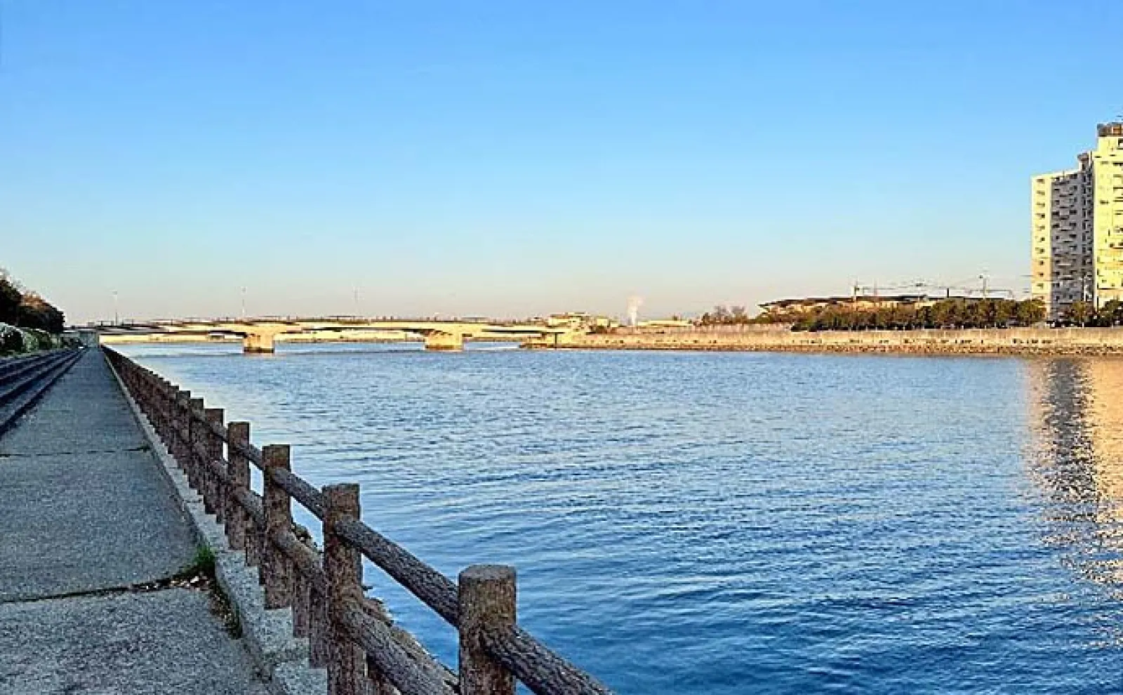 シーズン初のメバルプラッギング釣行で本命2匹と対面【大阪湾南部】