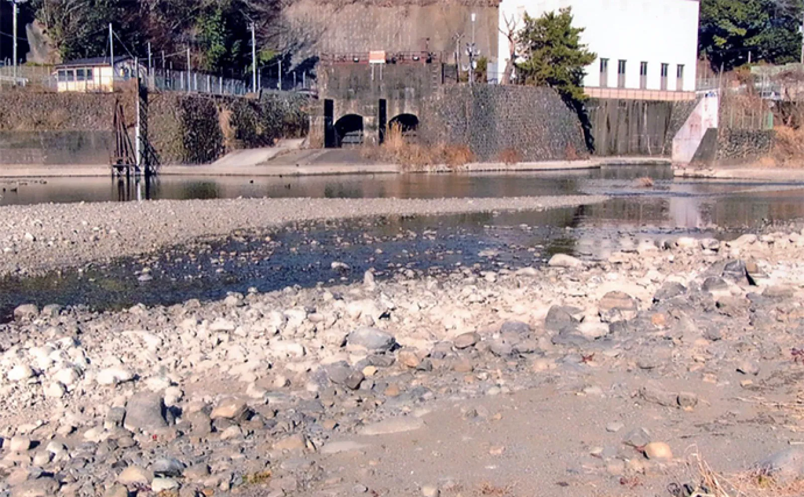【山梨・桂川】渓流釣りポイント紹介 エサはイクラ・ブドウ虫・ミミズの用意を